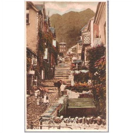 Clovelly, Devon - High Street - Peacock series postcard c.1920s