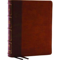 Nkjv, Large Print Thinline Reference Bible, Blue Letter, Maclaren Series, Leathe