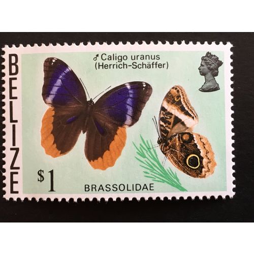 Belize 1974 $1 Brassolidae Unmounted Mint NHM SG 392 Sc 357 stamp butterfly