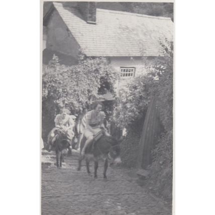 Giggling On Donkey Rides Clovelly Devon 1937 Real Photo Postcard