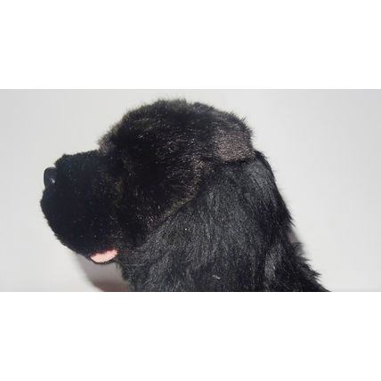 Newfoundland 12" toy dog as it is, personalised, gift wrapped, 3 options