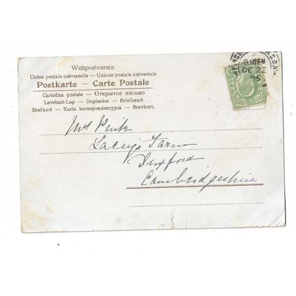 Sincere Greetings, Angels, Postcard