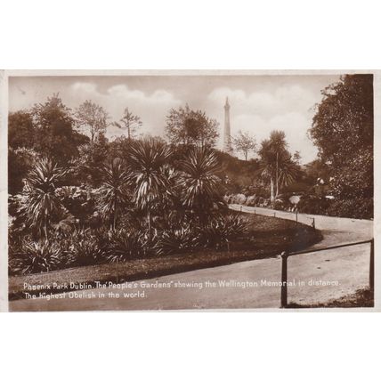B966 DUBLIN - PHOENIX PARK . WELLINGTON MEMORIAL . RP POSTCARD