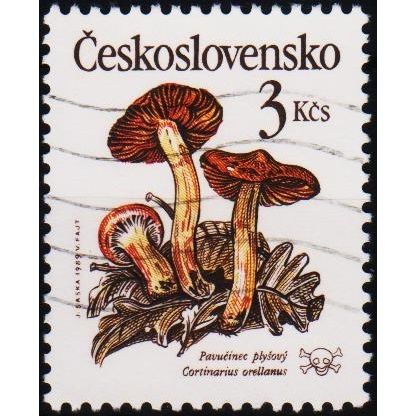 Czechoslovakia. 1989 3k S.G.2995 Used
