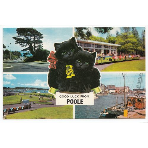 Poole Multiview Postcard Dorset 2231