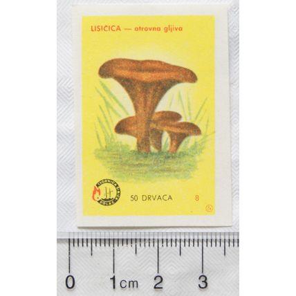 vintage Yugoslavia Matchbox Label - Toadstool, Lisicica