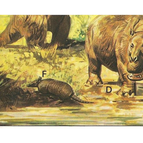 Panini's Dinosaurs Sticker Collection - Sticker No. 150