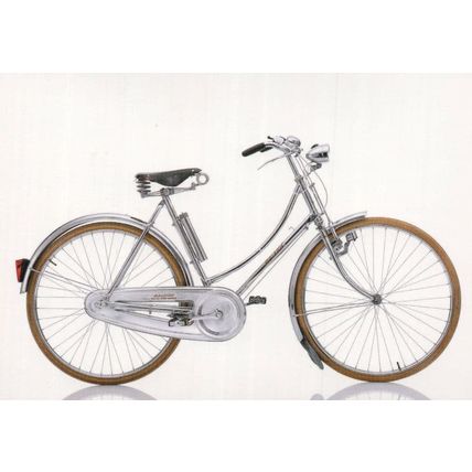 Ladies Girls Raleigh Tourist 1970s UK Bicycle Cycle Bike Postcard