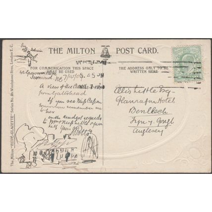 The Rabbit Banks, Newcastle on Tyne, Northumberland, 1909 - Milton Postcard
