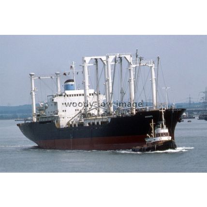 SQ0819 - Portuguese Cargo Ship - Amarante , built 1969 - photograph 6x4