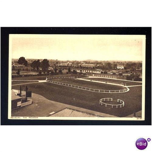 Berkshire NEWBURY Paddock Postcard by Photochrom (58189)