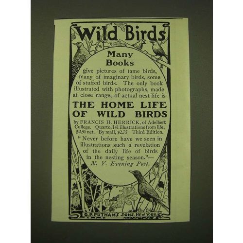 1902 G.P. Putnam's Sons Publishing Ad - The home life of wild birds