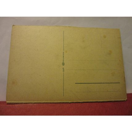 RHEINBRUCKE, BONN, GERMANY unused antique postcard #