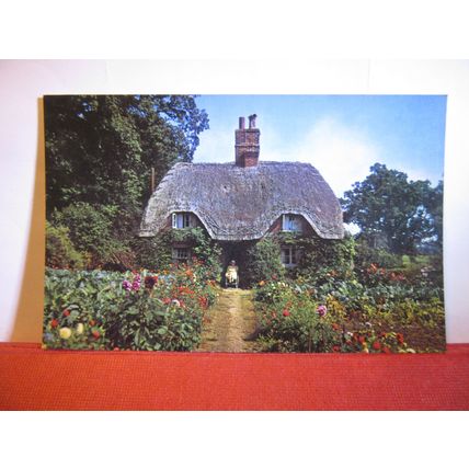 NEW FOREST COTTAGE. unused postcard PT2830 dated 1968 =