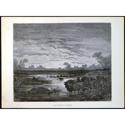 MISSISSIPPI SAVANNAHS 1885 Gustave Doré - Chateaubriand ANTIQUE ENGRAVING