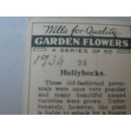 1933 Wills's Cigarettes Garden Flowers Card # 25 of 50 Hollyhocks Poor (1)