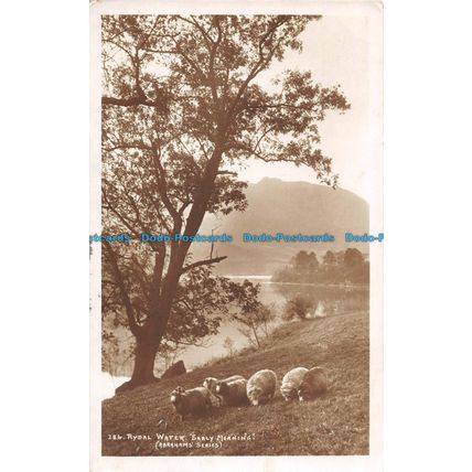 R090624 284. Rydal Water. Early Morning. Abrahams Series. 1913