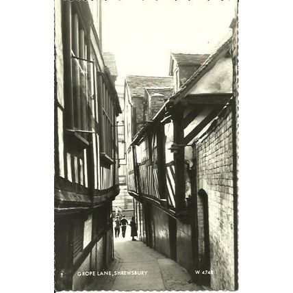 Shropshire SHREWSBURY Rope Lane Postcard (Valentine W.4748)