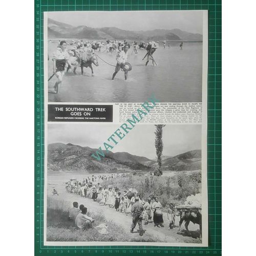 (X488) Korean Refugees Crossing Naktong River - 1950 Clip