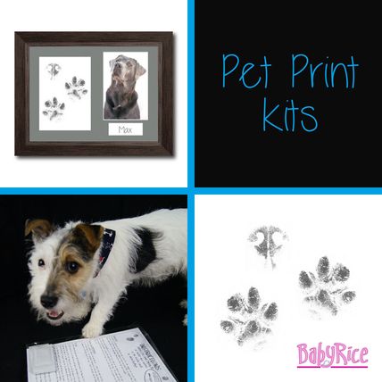 Dog Paw Printing Kit, Black Orange Photo Frame, Choose Mount Col. Memorial Gift