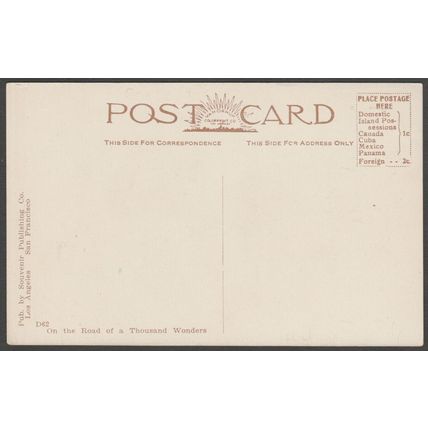 Tropical Gardens, Hotel Virginia, Long Beach, California, c1910 - Souv Pub Co PC