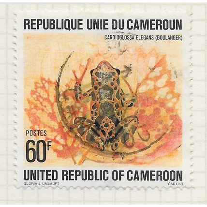 CAMEROUN CAMEROONS 1978 ELEGANT LONG FINGERED FROG USED