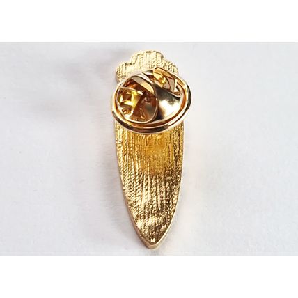 Novelty Vegan Vegeterian Carrot Brooch Lapel Pin Badge Vegatable