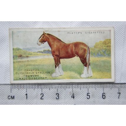 1916 Players British Livestock 11 The Clydesdale