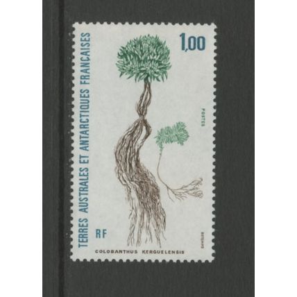 French Southern & Antarctic Territory 166, 1992 Kerguelensis, VF, MNH, (FR318)