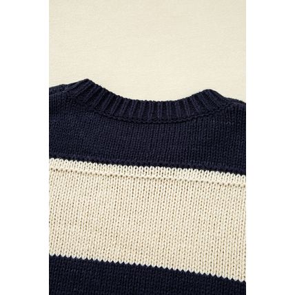 Blue Stripe Color Block PLus Size Drop Shoulder Sweater