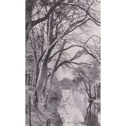 EC980 LOVERS WALK, ISLE OF MAN . PRINTED POSTCARD