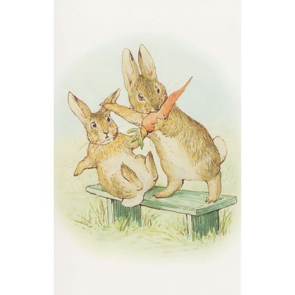 The Story Of A Fierce Bad Rabbit 1906 Beatrix Potter Book Postcard