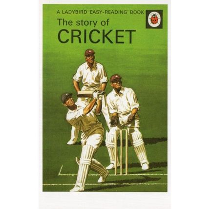 The Story Of Cricket Ladybird 1st Edition Childrens Book Postcard