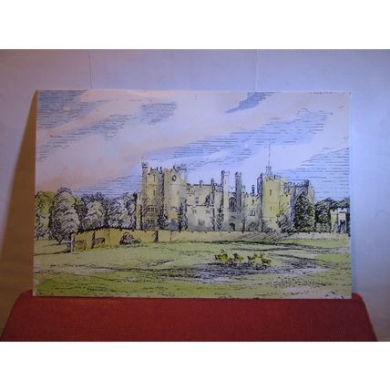 RABY CASTLE, STAINDROP, County Durham by N. Brewster large unused postcard #