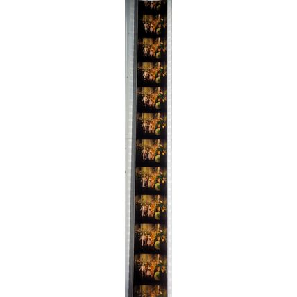 WIZARD OF OZ . Pk RED - B034h. 1 STRIP OF 10 - 35MM FILM CELLS