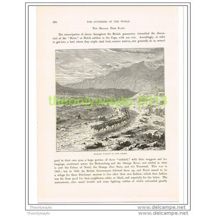 BULLOCK WAGGON IN CAPE COLONY, SOUTH AFRICA, Book Illustration c1890