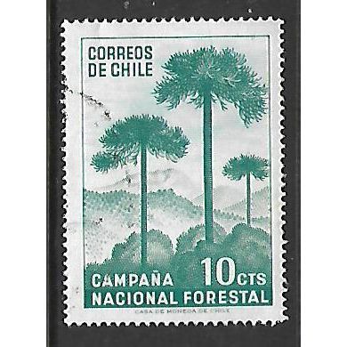 CHILE 1967 NATIONAL AFFORESTATION 10c GREEN PINE FOREST SG583 FINE USED#2