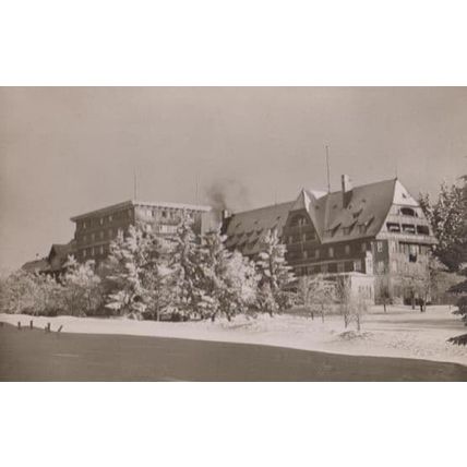 Switzerland Hotel Feldberger Hof Real Photo Swiss Postcard