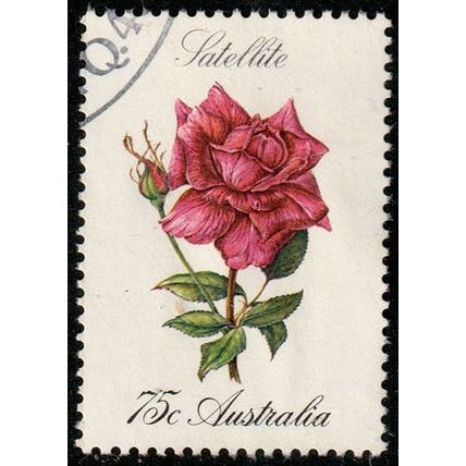 Australia 1982 Flowers Rose 75c Used Stamp .