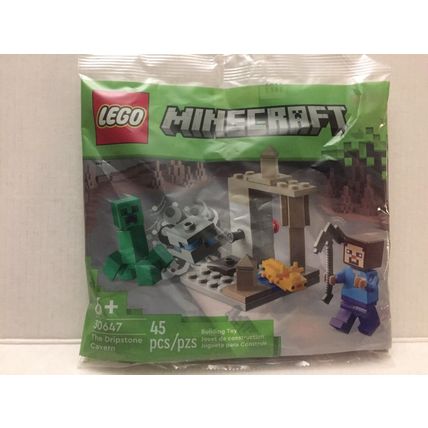NEW Lego Minecraft Dripstone Cavern Poly Bag Set #30647 - 45 pieces