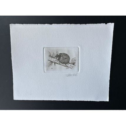 Belgique 1996 COB 2632 Epreuve d'artiste Insecte Coccinelle Käfer Beetle noir