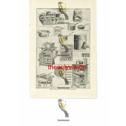Cooking Utensils, Gas & Electric, Edwardian Cookery, Book Illustration, c1907