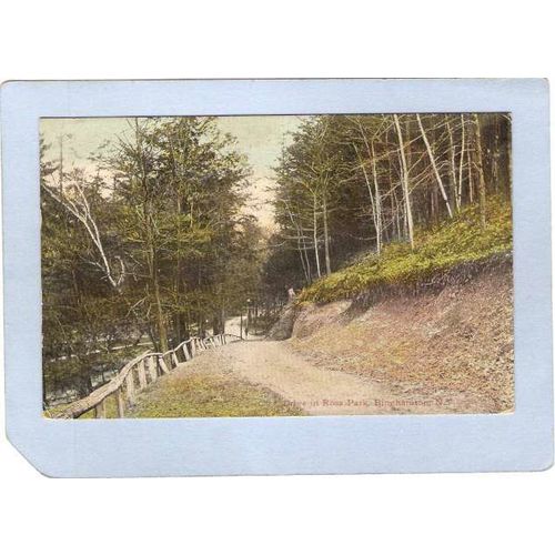 New York Binghamton Drive in Ross Park ny_box2~513