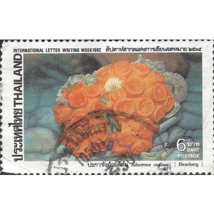 THAILAND, Coral, Tubastraea coccinea, grey 1992, 6Baht, #3