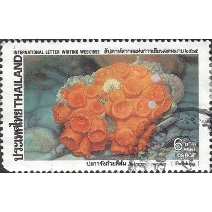 THAILAND, Coral, Tubastraea coccinea, grey 1992, 6Baht, #2