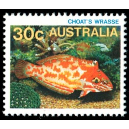Australia 1984 30c Choat'a Wrass Fish MNH - SG 925