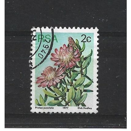 SouthAfrica.SG415 2c Protea Punctata.Fine Used.Sep25b