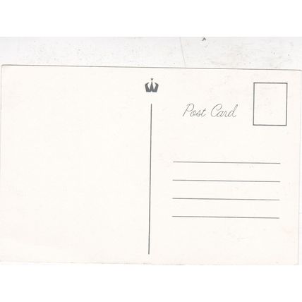 Roses Artist Unknown postcard unused VGC