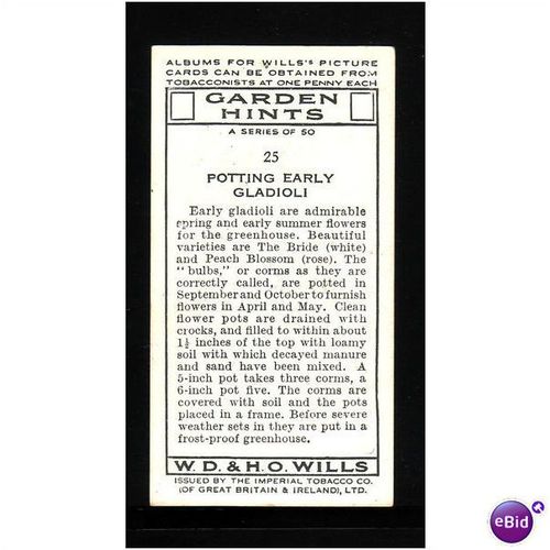 WILLS - 1938 GARDEN HINTS NO 25 Potting Early Gladioli Mint