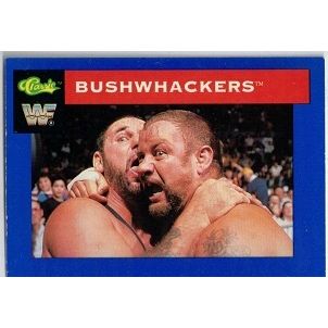 WWF ' CLASSIC ' card #50 BUSHWACKERS (1991)